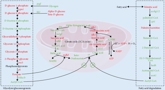 Figure 9