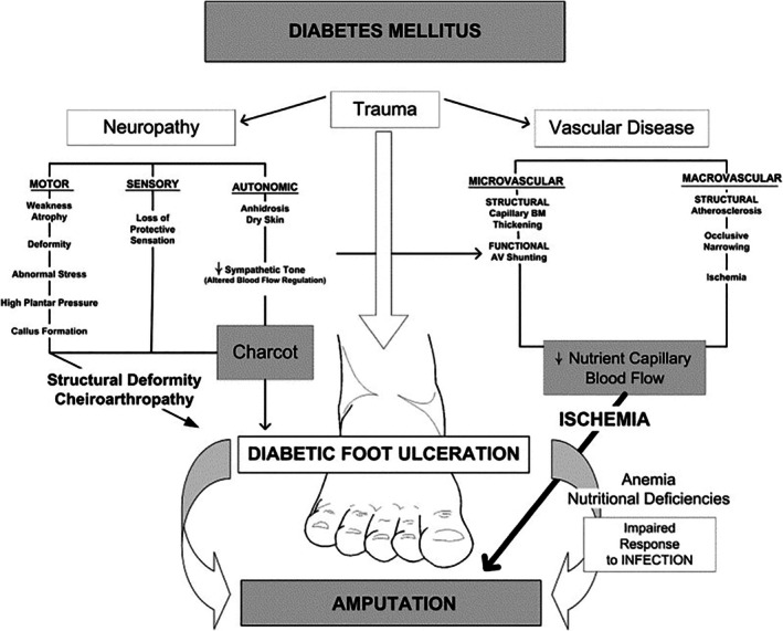 FIGURE 1