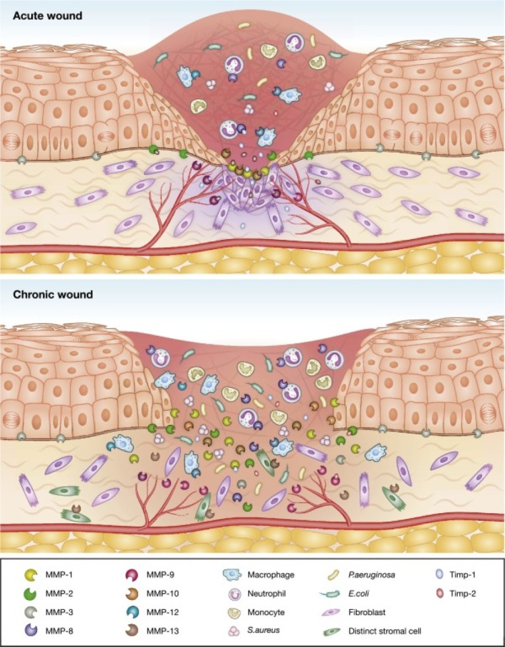 FIGURE 2