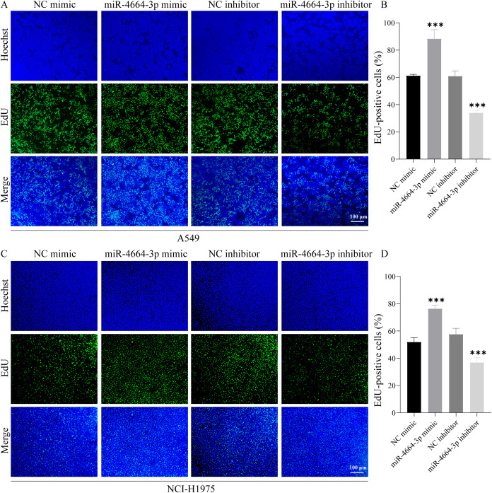 Figure 6