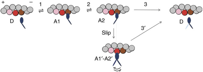 FIGURE 10