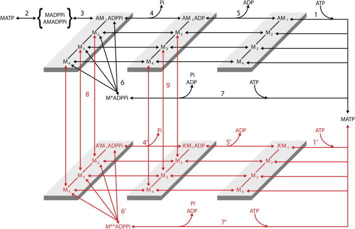 FIGURE 12