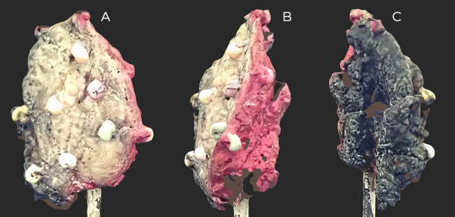 Figure 3