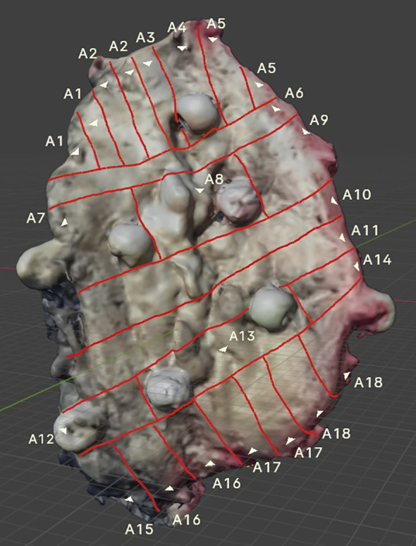 Figure 4