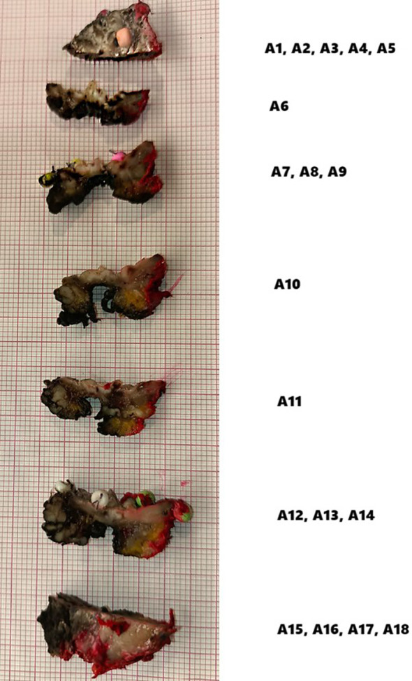 Figure 5