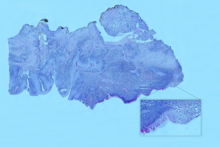 Figure 6