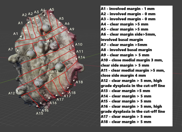Figure 7