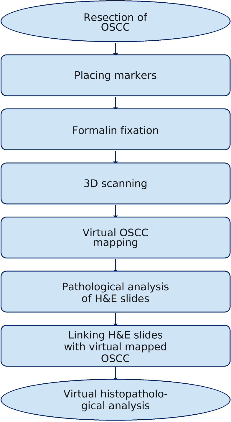 Figure 8