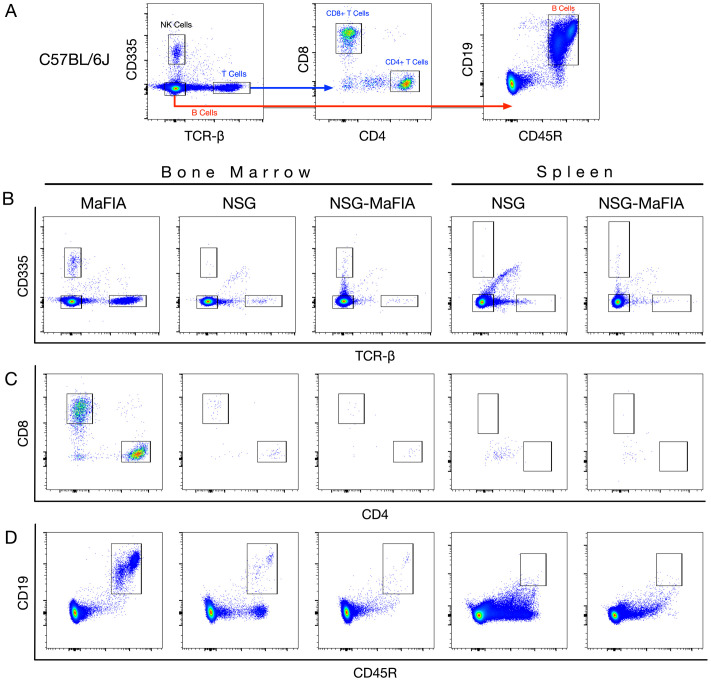 Figure 4