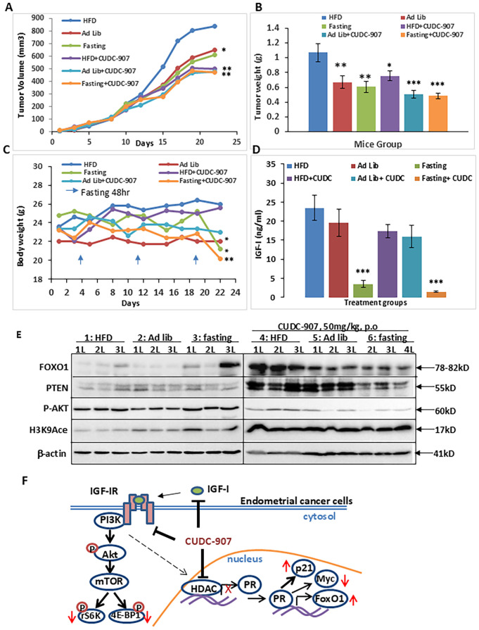 Figure 8