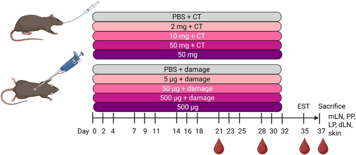 FIGURE 1