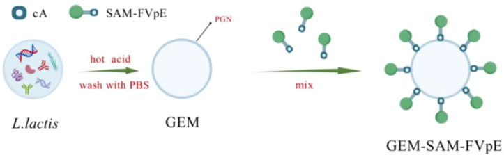 Scheme 1