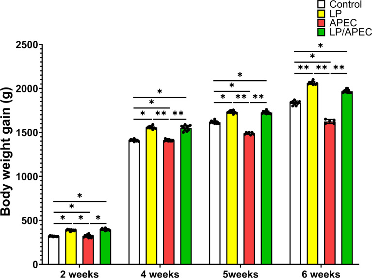Figure 7