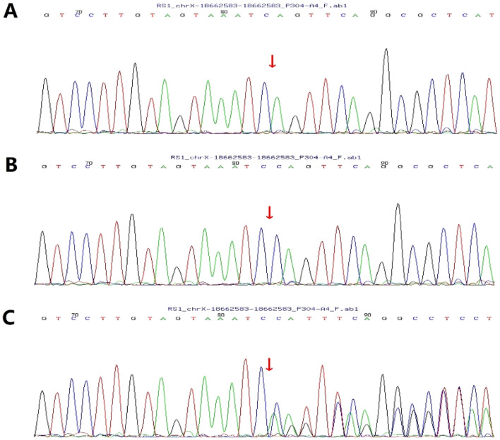 FIGURE 1