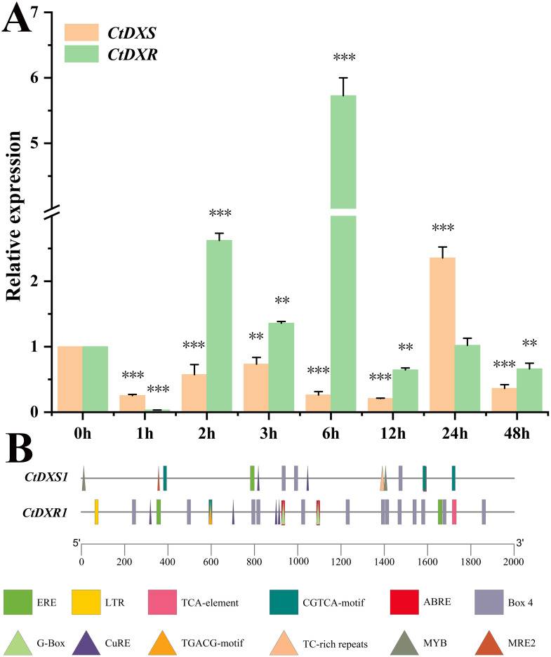 Figure 1