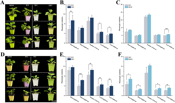 Figure 2