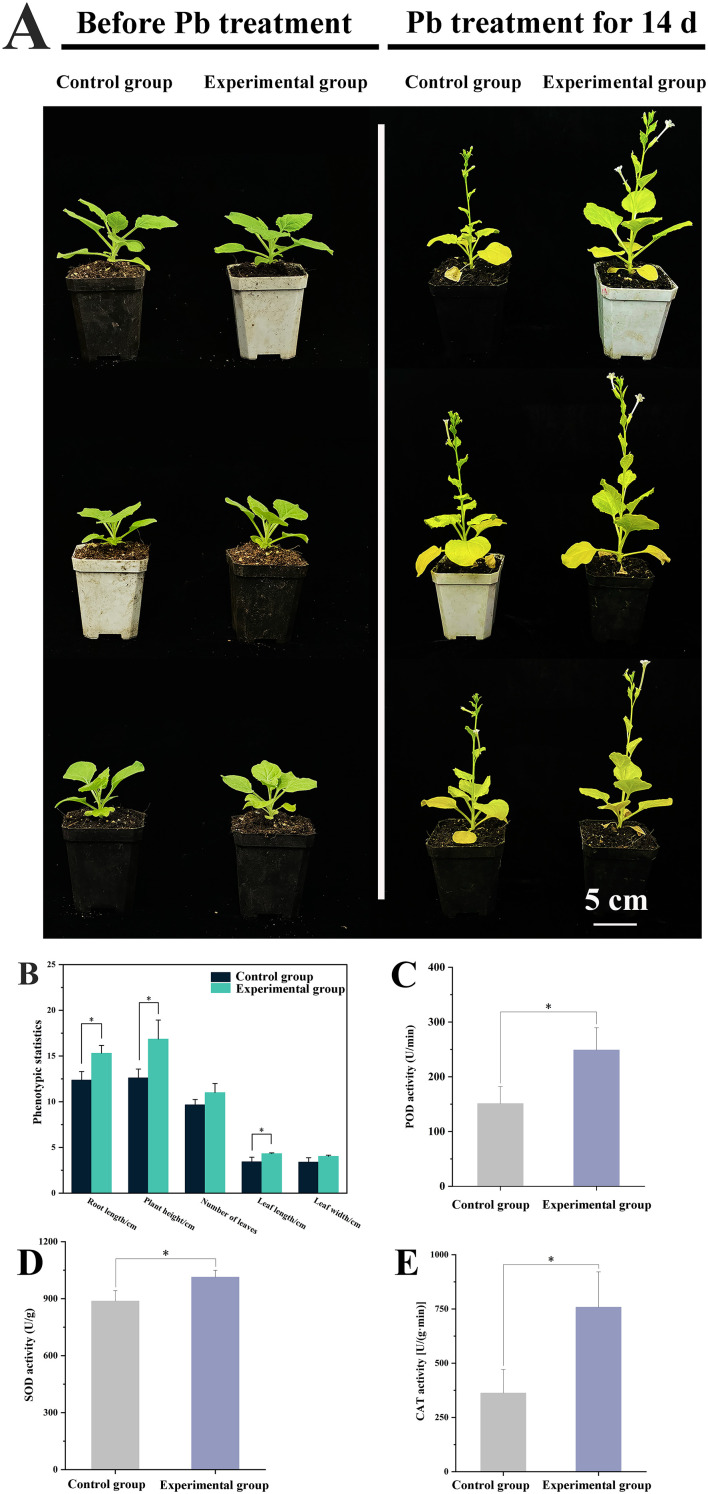 Figure 4