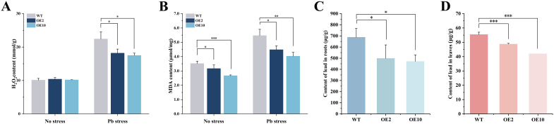 Figure 6