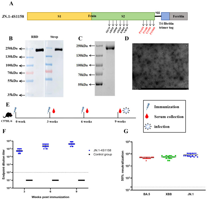 Figure 4
