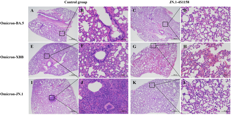 Figure 7