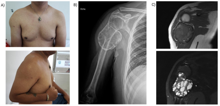 Figure 1