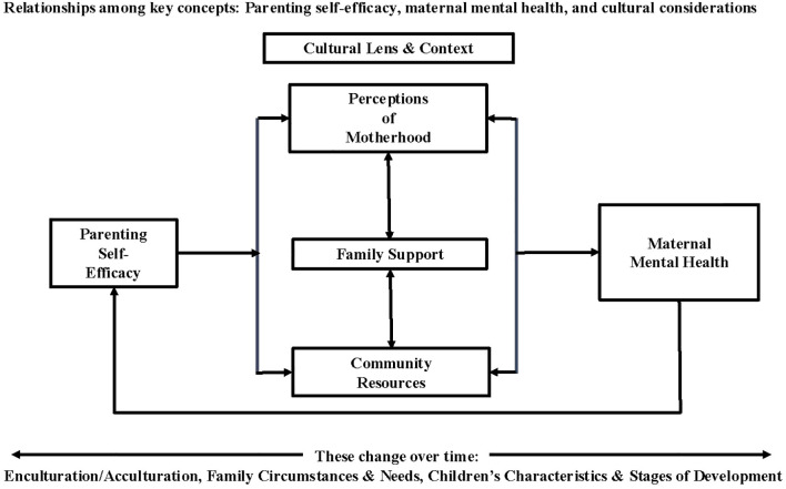 Figure 1