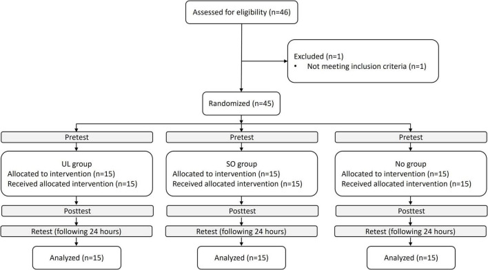 FIGURE 1
