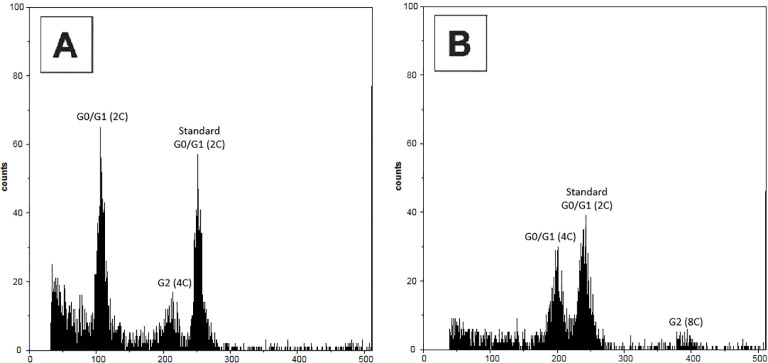 Figure 1
