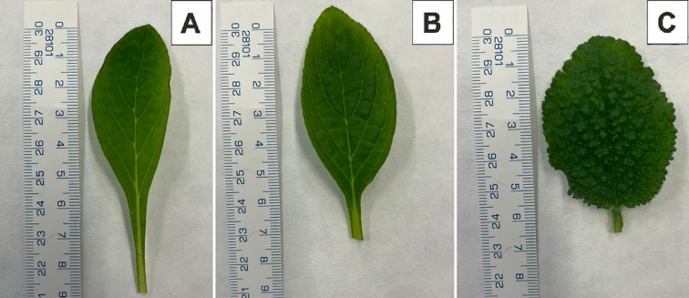 Figure 2