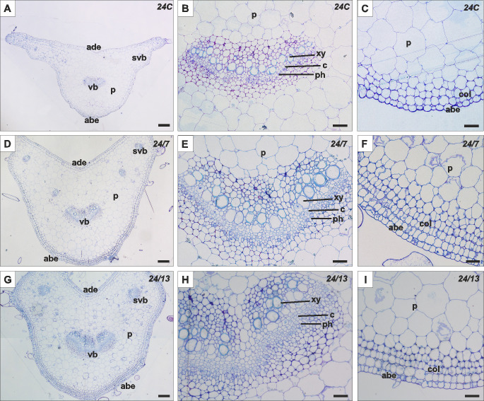 Figure 6