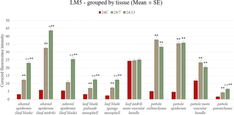 Figure 13