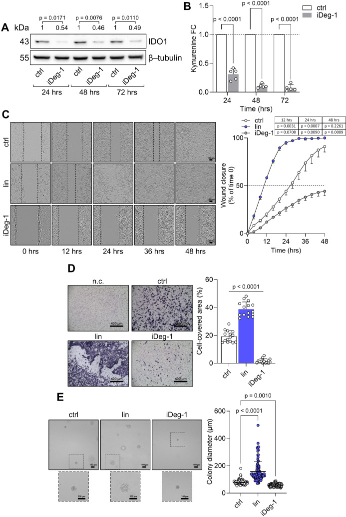 Figure 6