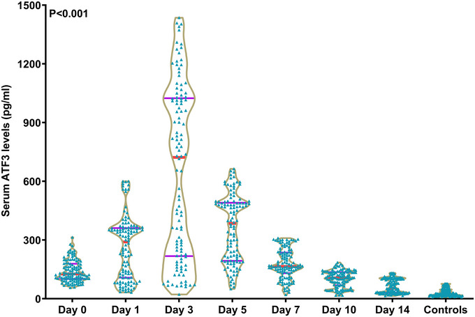 FIGURE 2