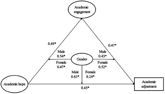 FIGURE 1