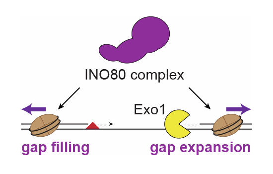 Figure 11