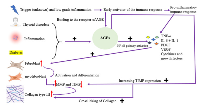 Figure-2