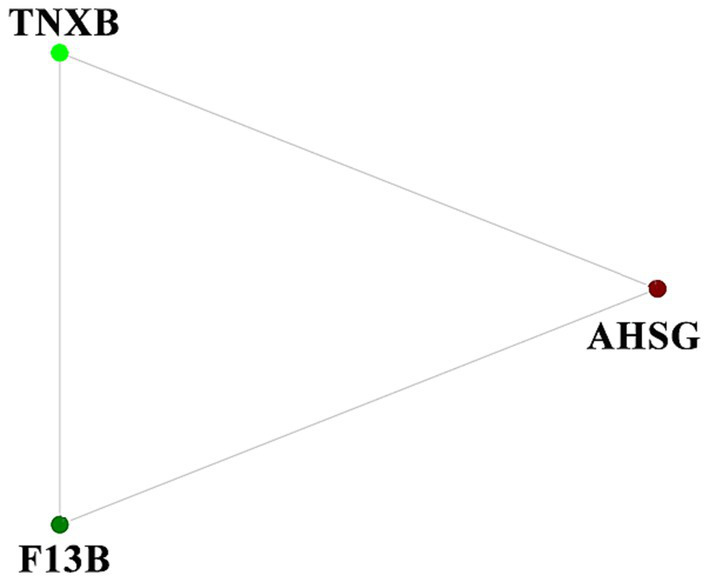 Figure 4