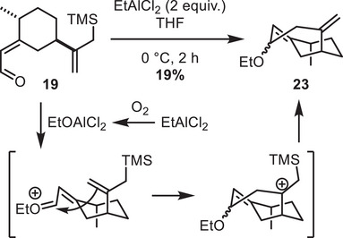 Scheme 7