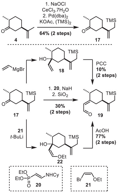 Scheme 6