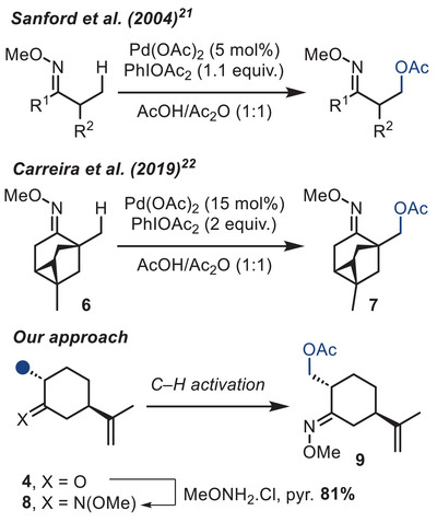 Scheme 3