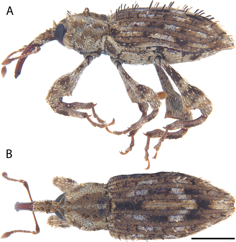 Figure 7