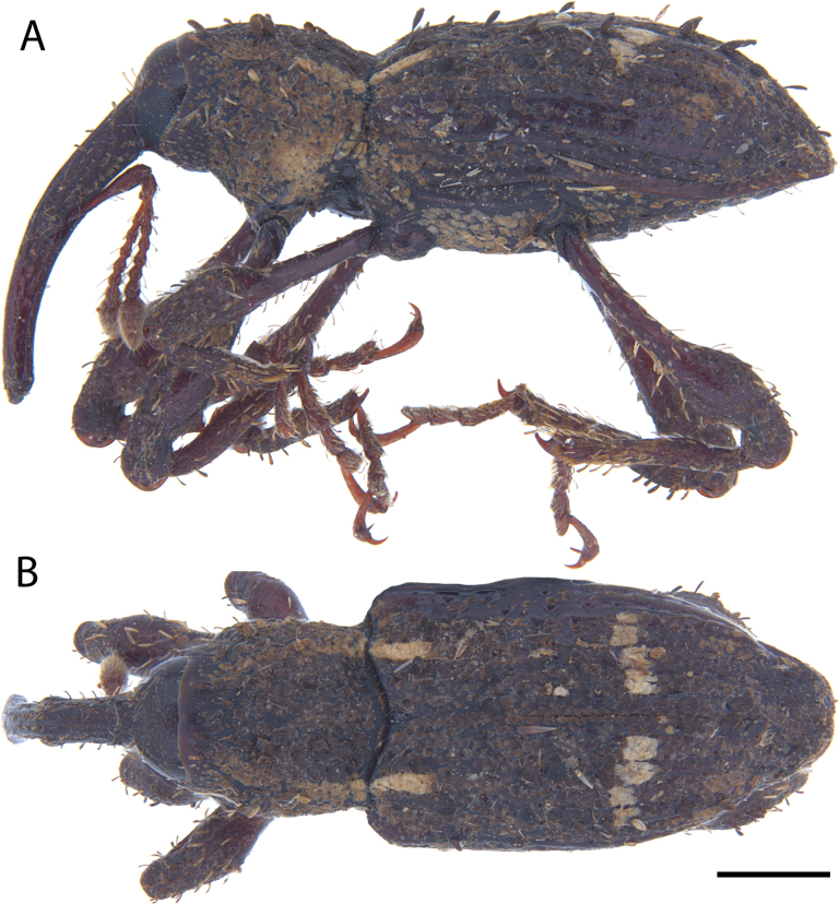 Figure 9