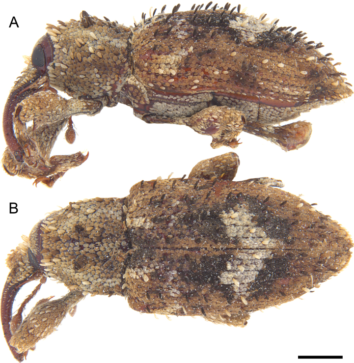 Figure 10
