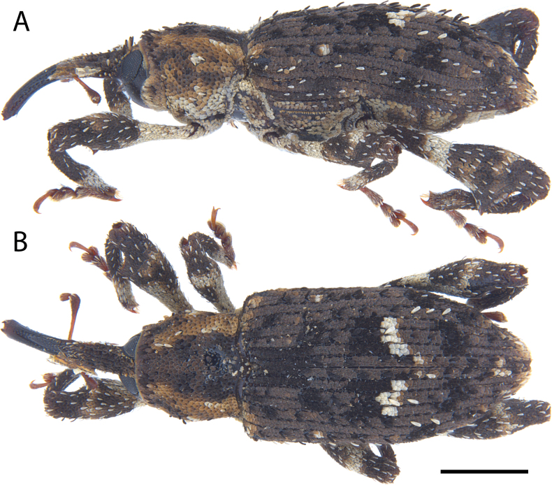 Figure 13