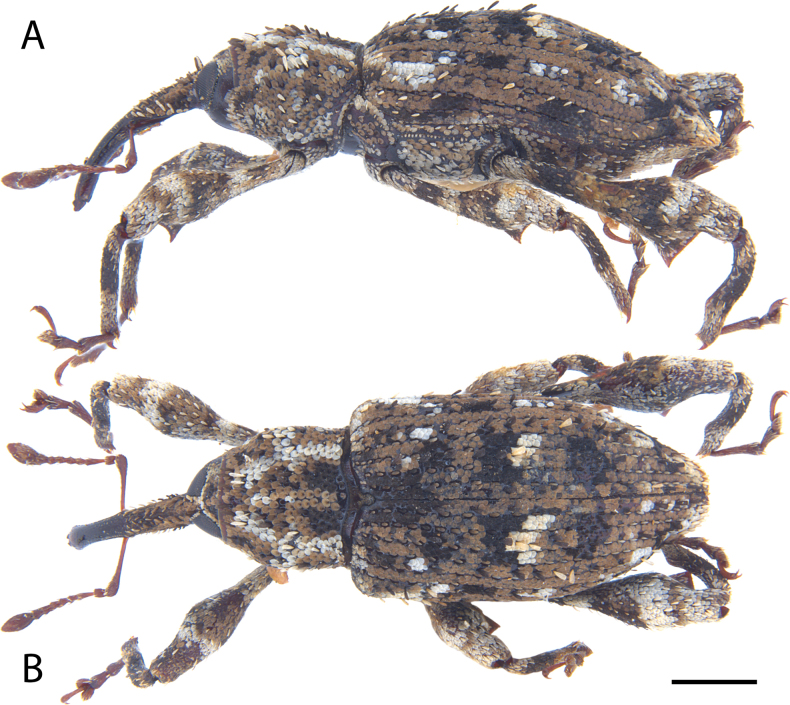 Figure 14