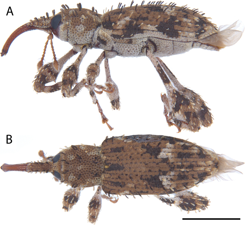 Figure 15