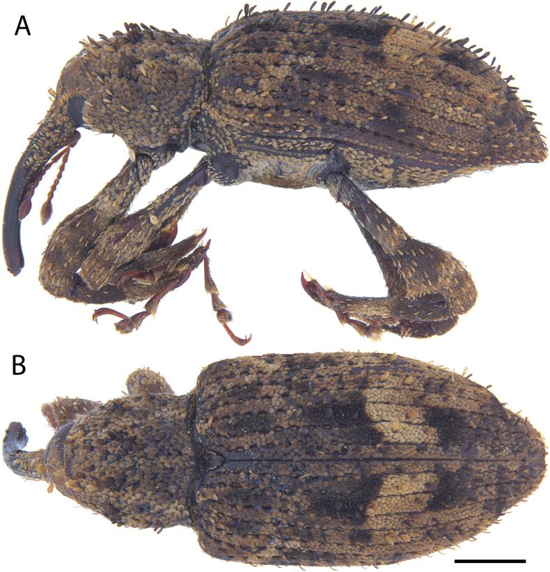 Figure 16