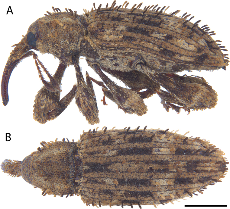 Figure 18