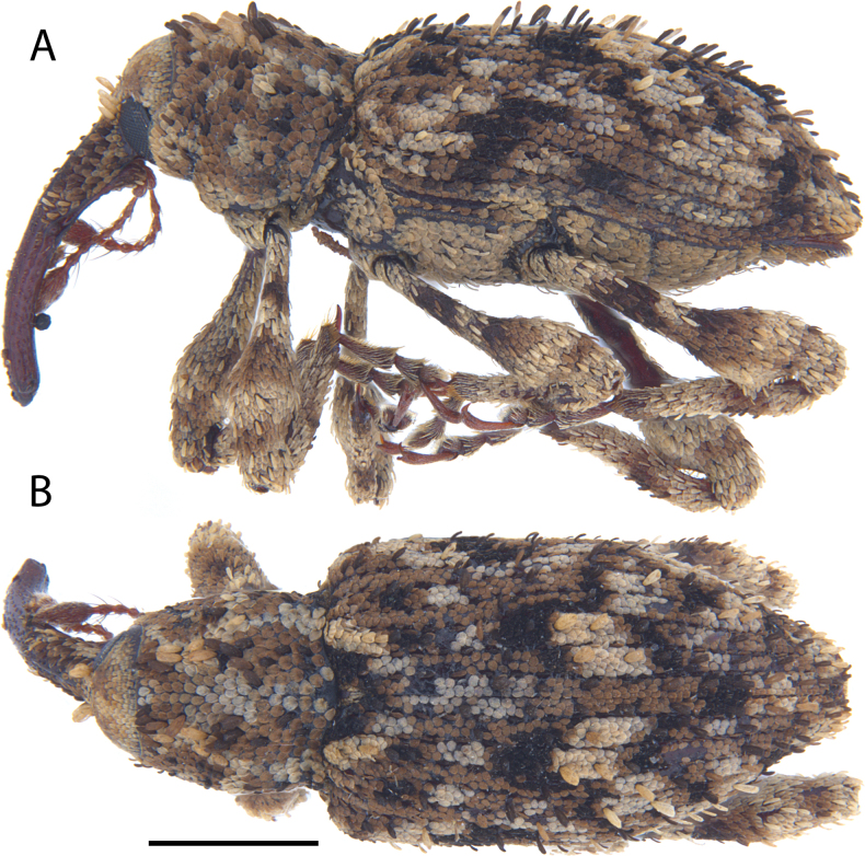 Figure 19