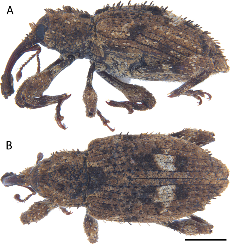 Figure 20